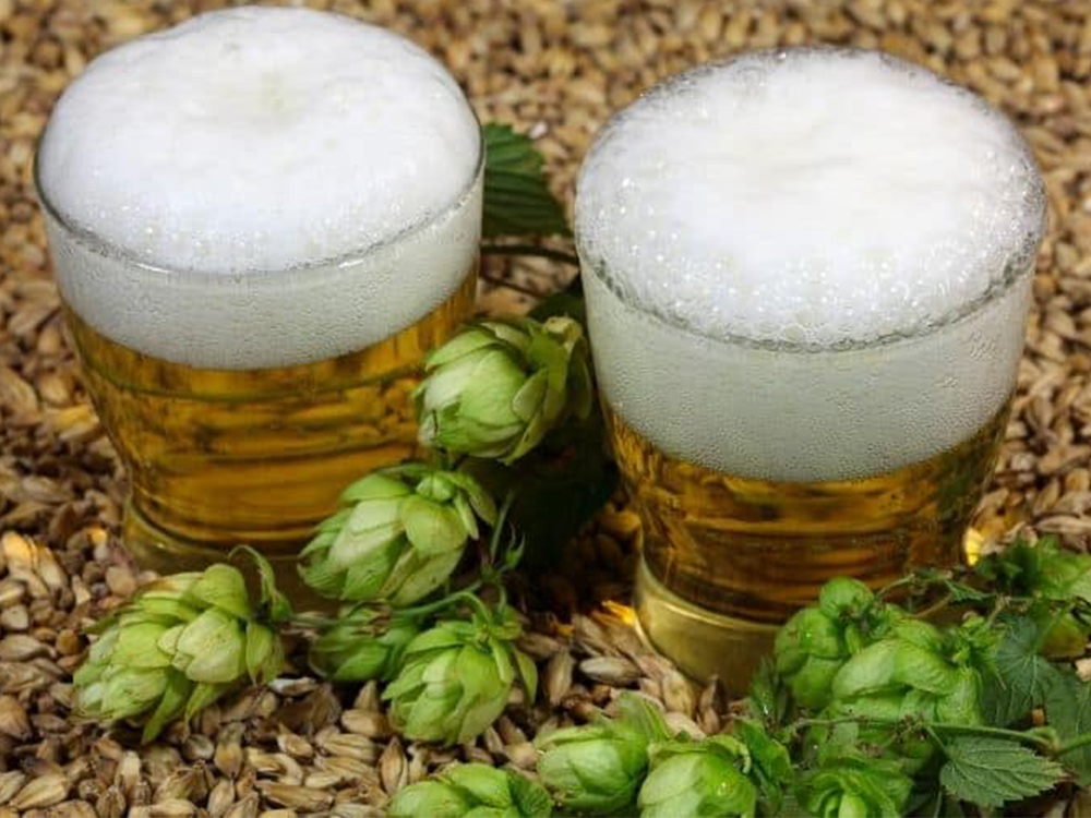 brewery equipment sales,brewery equipments